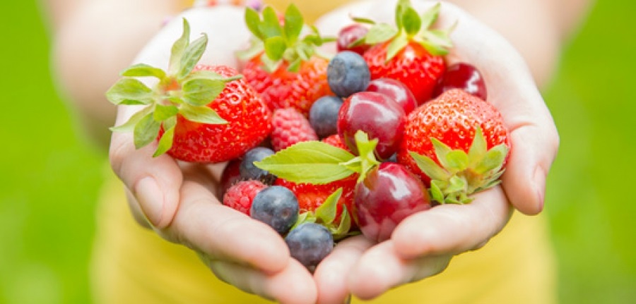 Healthy Living Tips That You Should Know